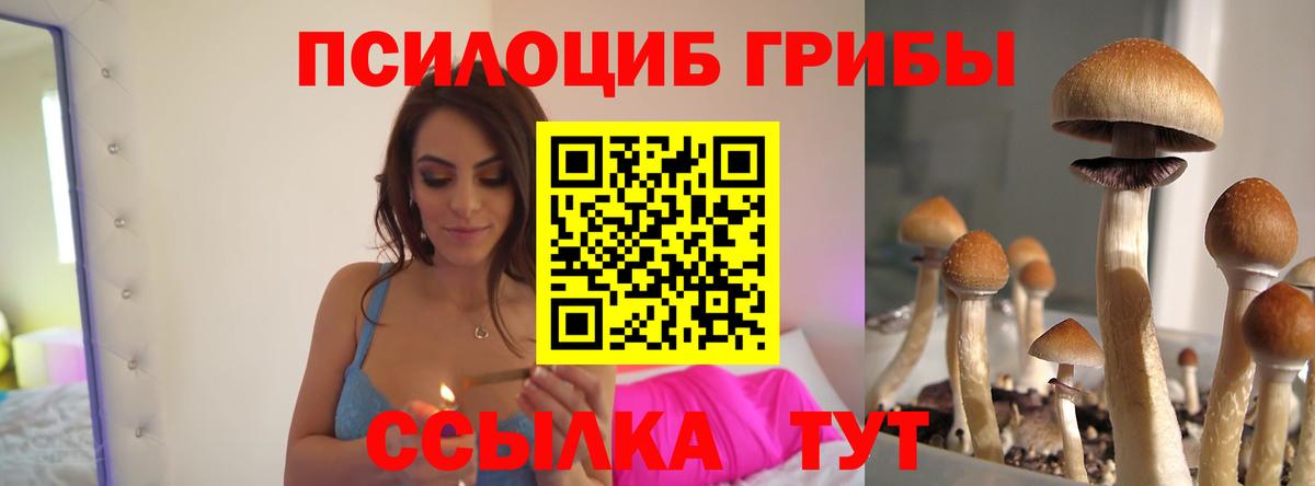 Галлюциногенные грибы GOLDEN TEACHER  Псилоцибиновые грибы Psilocybine cubensis  Белая Калитва  Вход с VPN 